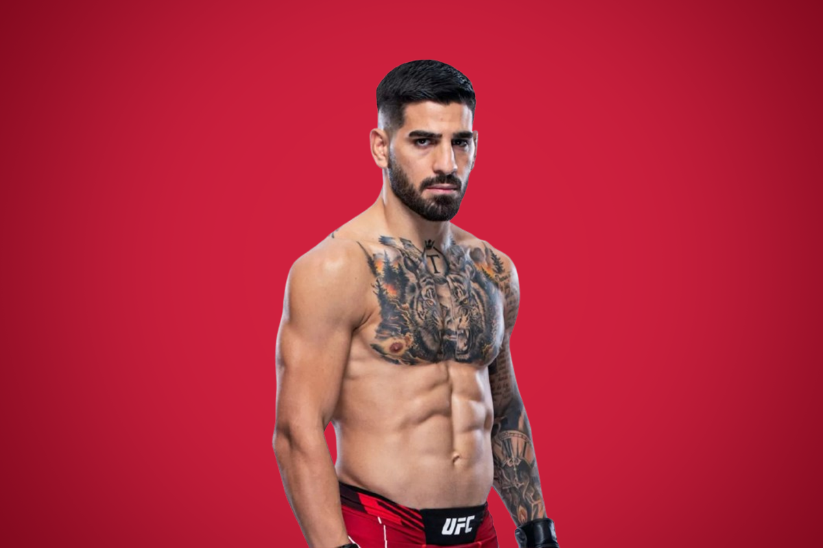 UFC 317